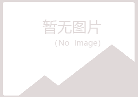 曲江区漂流会计有限公司